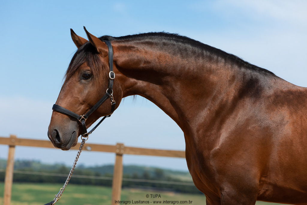 Obsequium Interagro/TUPA