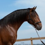 Obsequium Interagro/TUPA