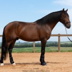 Obsequium Interagro/TUPA