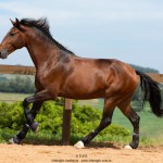 Obsequium Interagro/TUPA