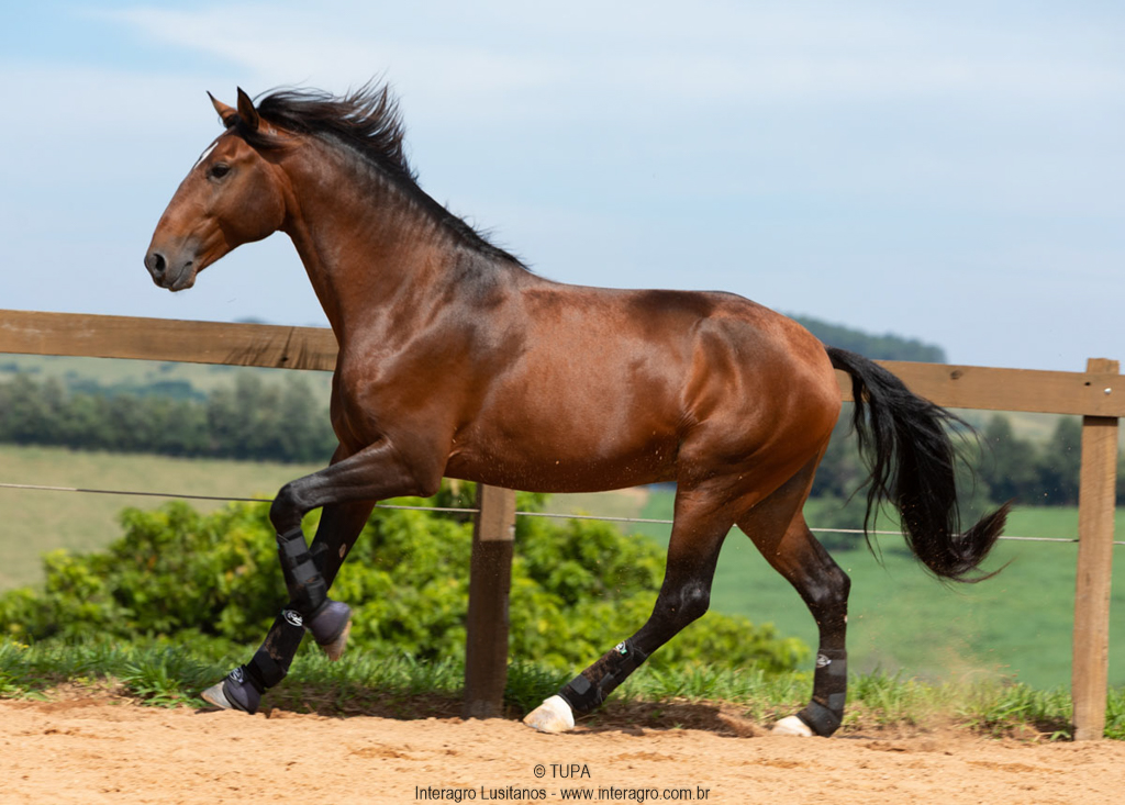 Obsequium Interagro/TUPA