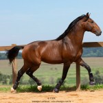 Obsequium Interagro/TUPA