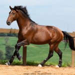 Obsequium Interagro/TUPA