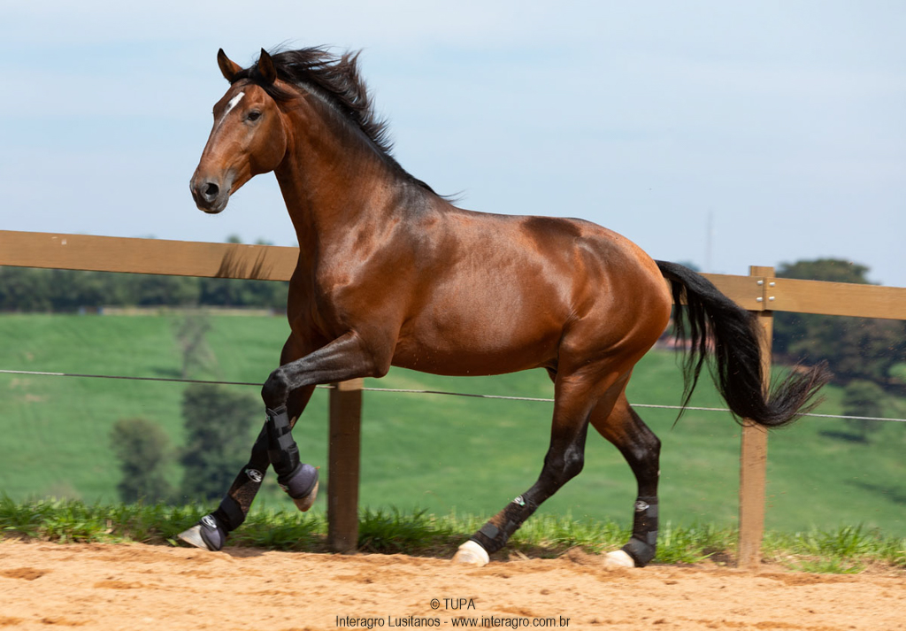 Obsequium Interagro/TUPA