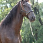 Osmond Interagro/TUPA