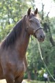 Osmond Interagro/TUPA