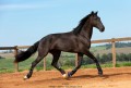 Osmond Interagro/TUPA