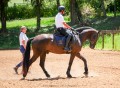 Osmond Interagro/Interagro Lusitanos