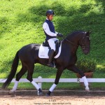 Othelus Interagro, black Purebred Lusitano stallion. Photo: TUPA