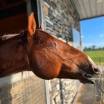 Paragon Interagro/ErnestoPhotography