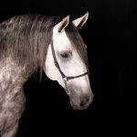 Perdicas Interagro/Renata Cerqueira