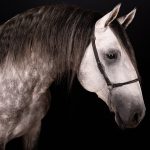 Perdicas Interagro/Renata Cerqueira