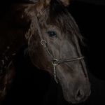 Pródigo Interagro/Renata Cerqueira