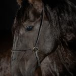 Pródigo Interagro/Renata Cerqueira