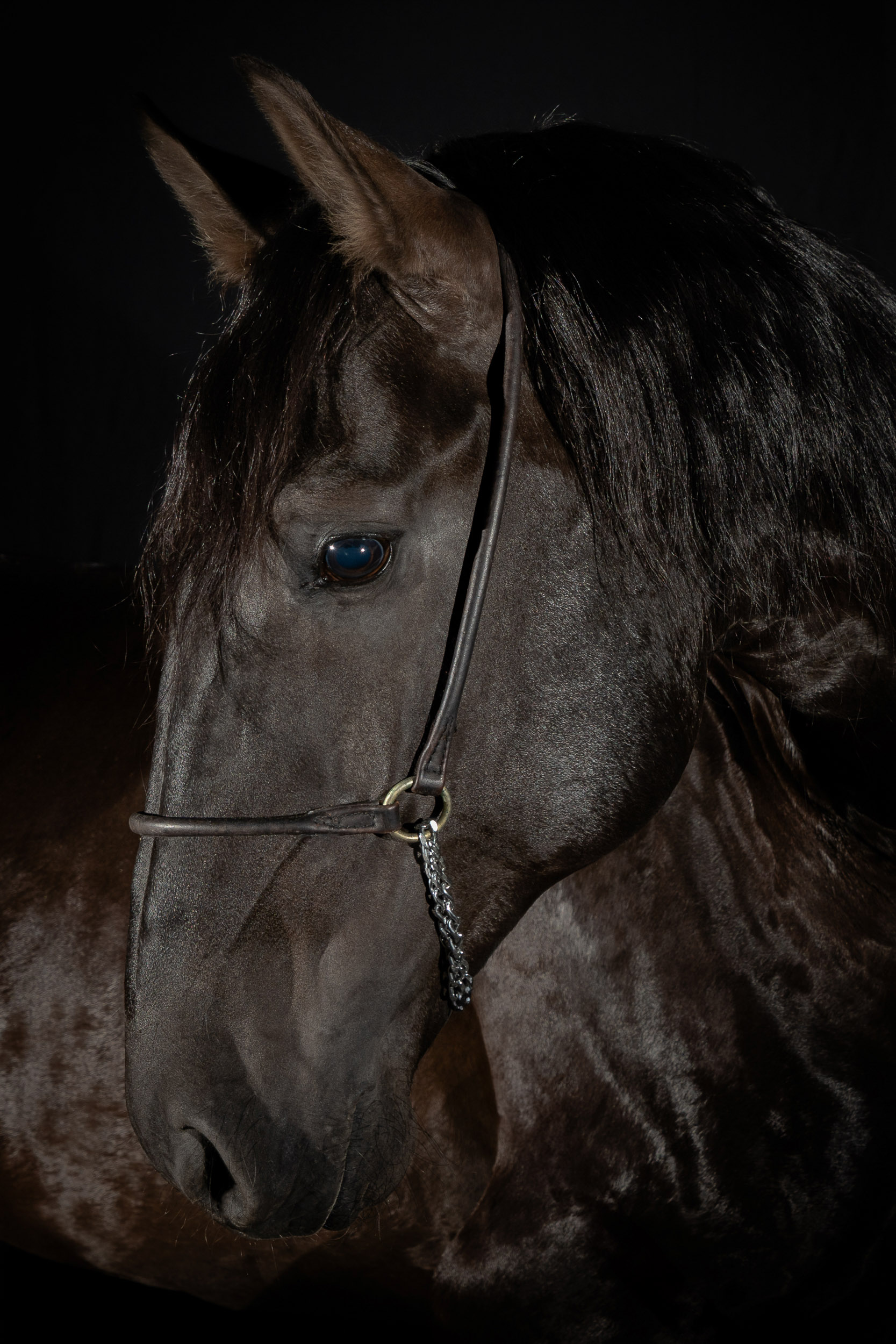 Pródigo Interagro/Renata Cerqueira