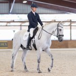 Platão Interagro, grey Lusitano gelding for sale (Photo by Ernesto Photography)