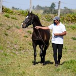 Prudêncio Interagro/Interagro Lusitanos 07/2021