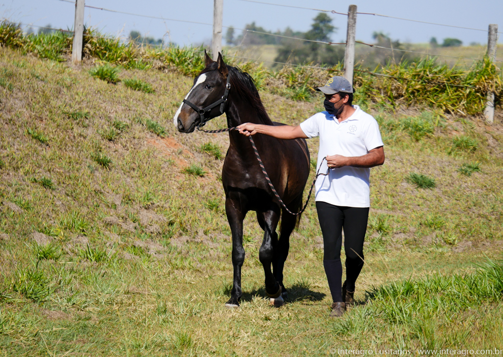 Prudêncio Interagro/Interagro Lusitanos 07/2021