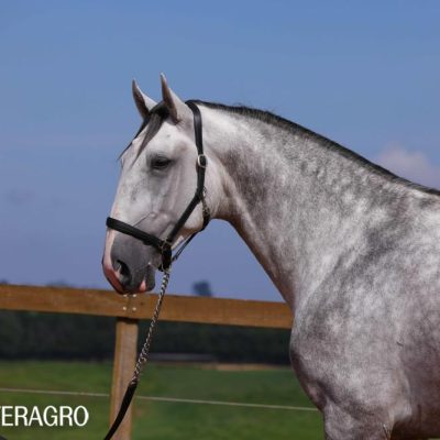 Quentin Interagro