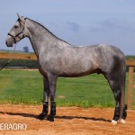 Quinteto Interagro/TUPA