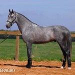 Quinteto Interagro/TUPA