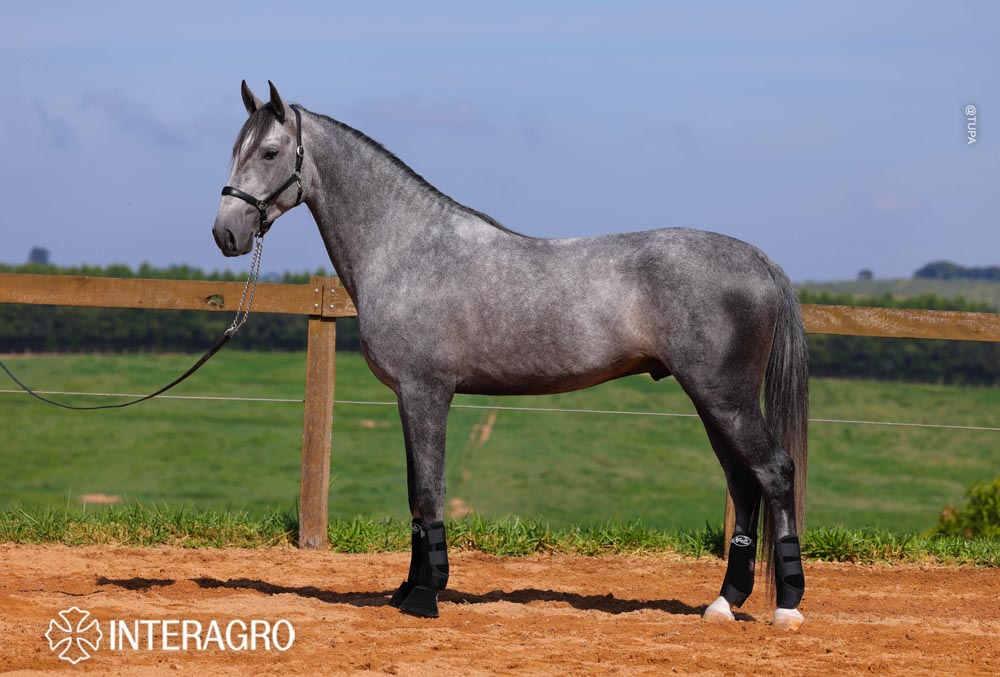 Quinteto Interagro/TUPA