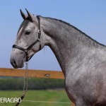 Quinteto Interagro/TUPA