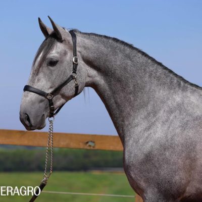 Quinteto Interagro/TUPA