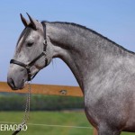 Quinteto Interagro/TUPA