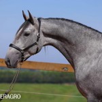 Quinteto Interagro/TUPA