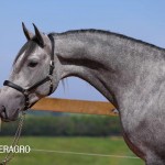 Quinteto Interagro/TUPA