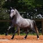 Quinteto Interagro/TUPA