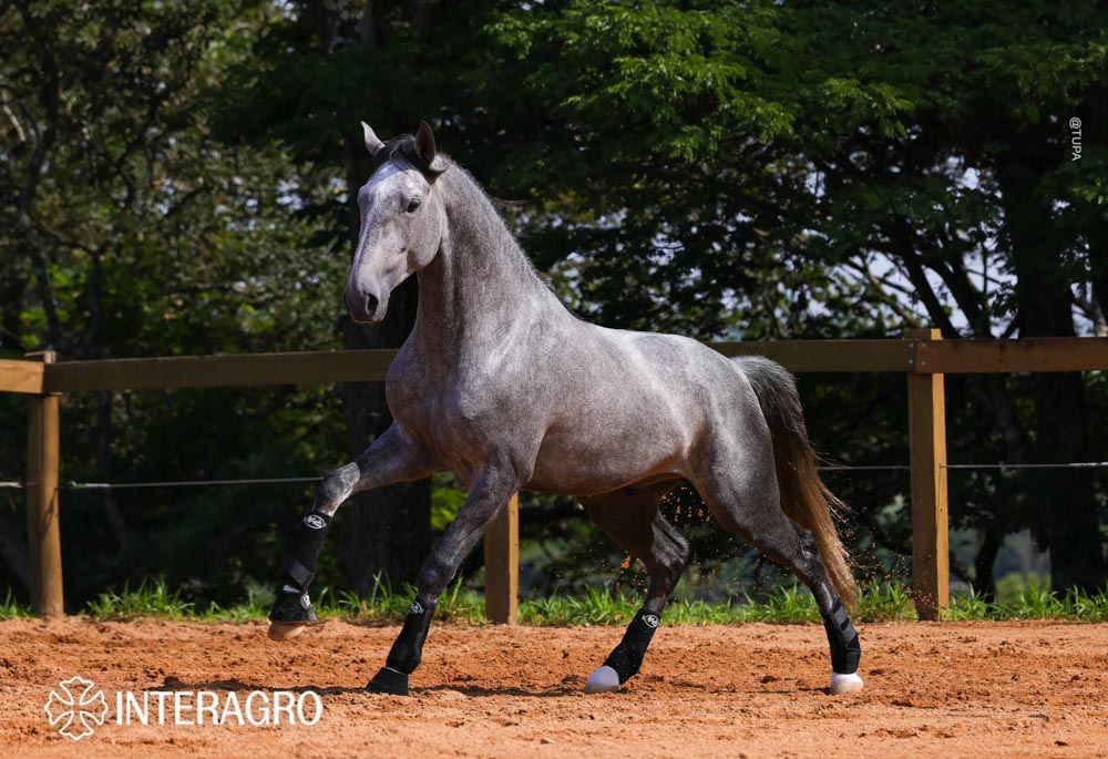 Quinteto Interagro/TUPA