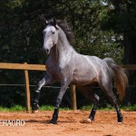 Quinteto Interagro/TUPA