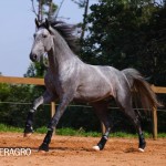 Quinteto Interagro/TUPA