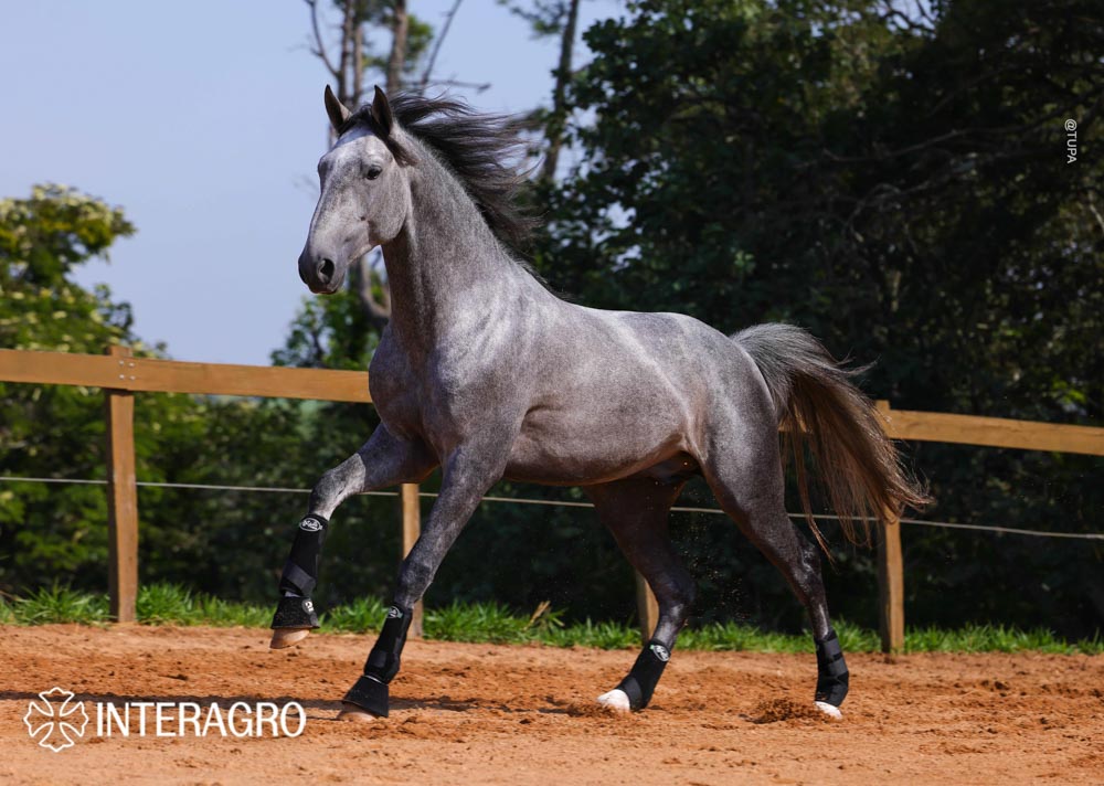 Quinteto Interagro/TUPA