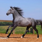 Quinteto Interagro/TUPA