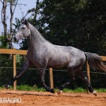 Quinteto Interagro/TUPA