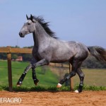 Quinteto Interagro/TUPA