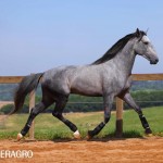 Quinteto Interagro/TUPA