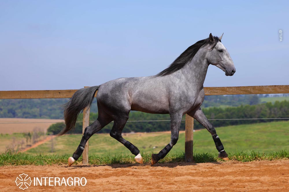 Quinteto Interagro/TUPA