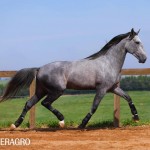 Quinteto Interagro/TUPA