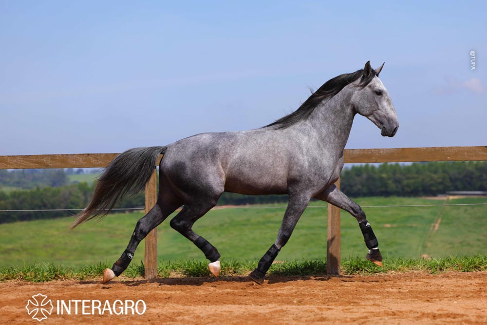 Quinteto Interagro/TUPA