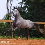 Quinteto Interagro/TUPA