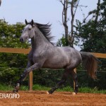 Quinteto Interagro/TUPA