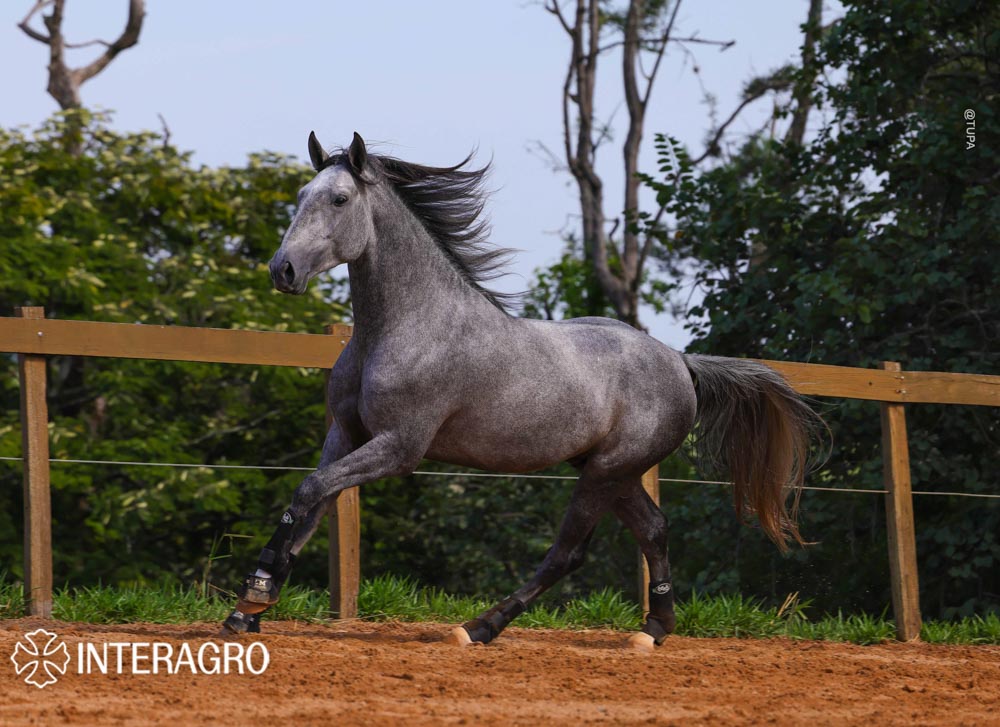 Quinteto Interagro/TUPA