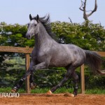 Quinteto Interagro/TUPA