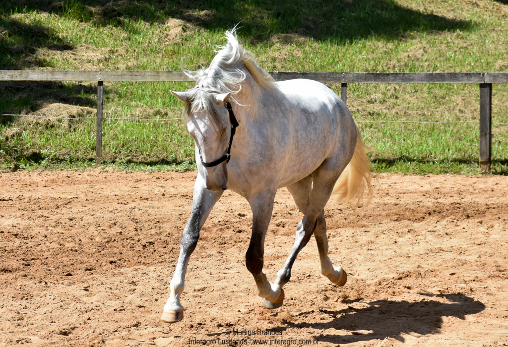 Quintius Interagro/Martina Brandes