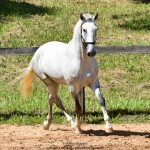 Quintius Interagro/Martina Brandes