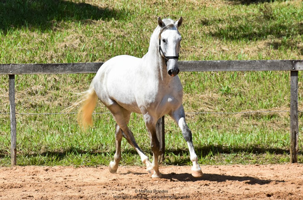 Quintius Interagro/Martina Brandes
